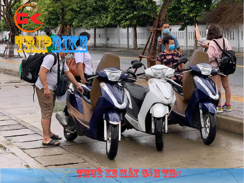 cho thuê xe máy cần thơ Địa chỉ: 1C Nguyễn Văn Linh, quận Ninh Kiều, Cần Thơ  Điện thoại: 0919 306 402