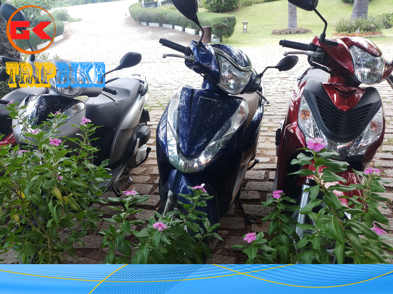  thuê xe máy tại Phan Thiết – Hoàng Hiếu
