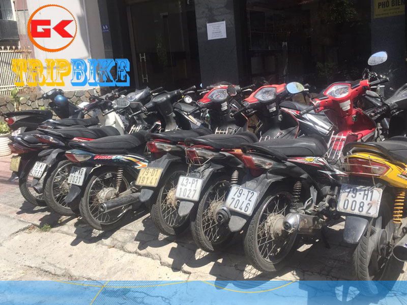 Hoàng Gia – Cho thuê xe máy ở Tây Ninh