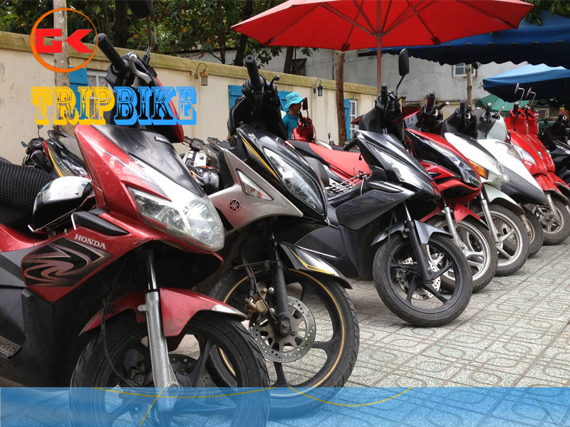 Công ty Toàn Vượng Phát – Thuê xe máy tại Thái Bình
