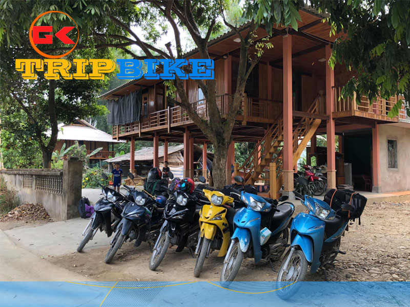 Sao Việt – Thuê xe máy Phú Thọ đáng tin cậy