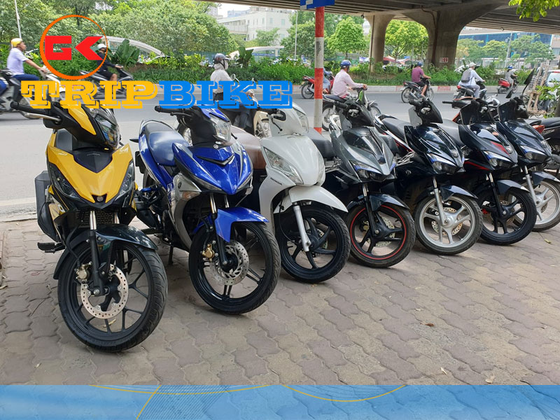 Trường Thảo – Thuê xe máy tại Phú Thọ giá rẻ